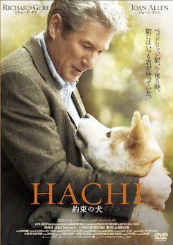 HACHI@񑩂̌